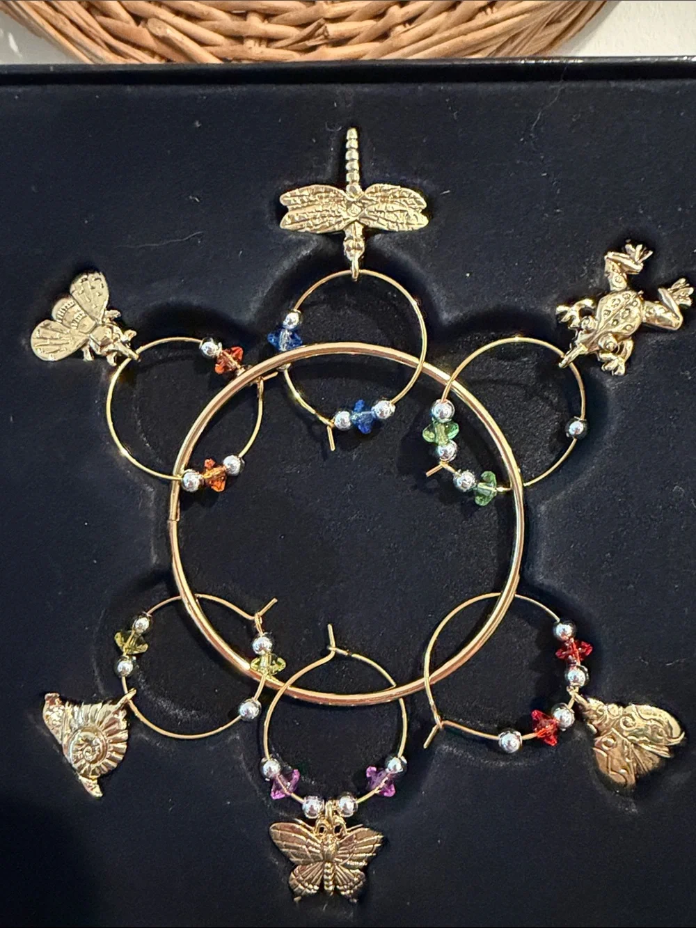 Prodyne charming mivino